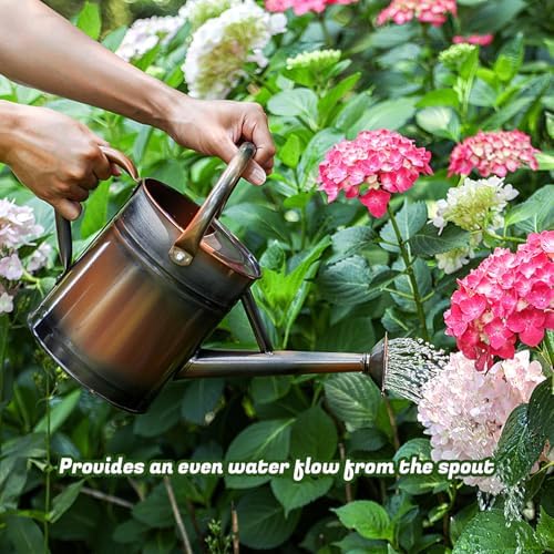 1 Gallon Watering Can for Plants, Watering Cans for Indoor&Outdoor Gardening, Galvanized Steel Watering Pot with Removable Spout, Metal Water Can with Ergonomic Movable Handle(Copper) - Image 6
