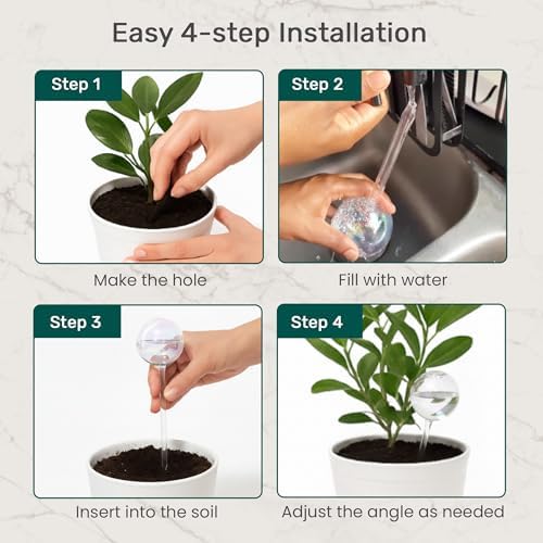 Plant Watering Globes 6 Pack – Self Watering Bulbs, Whole-Home Medium Set - Image 5