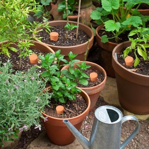 Ollas 8pcs 3.1 * 6inch Watring Can Pot Terracotta Self Watering Planter Insert Vacation Plant Care Olla Watering Terra Cotta Clay Irrigation Globes - Image 5