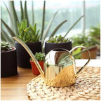 1000ML Watering Pot, Large Capacity Arc Shaped Spout Design - Image 4