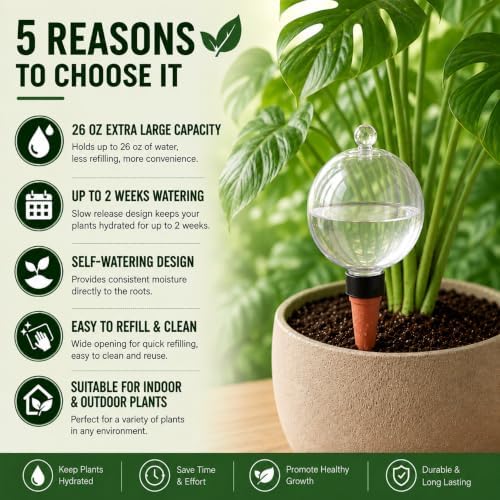 26oz EX-Large Self Watering Globes with Cover (6 PCS) - Image 3