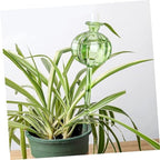 2pcs Cactus Shaped Glass Self Watering Stakes for Plants - Image 5