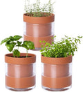 Phoenix Vine 4 Inch Self Watering Planter Pot, Terracotta Clay Pot with Glass Reservoir for Indoor Plants, Herbs, Flowers, Set of 3, 52-A-E-3 by Phoenix+Vine