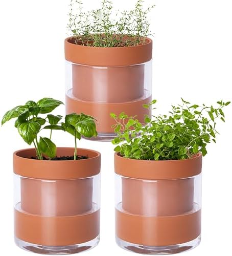 Phoenix Vine 4 Inch Self Watering Planter Pot, Terracotta Clay Pot with Glass Reservoir for Indoor Plants, Herbs, Flowers, Set of 3, 52-A-E-3 by Phoenix+Vine