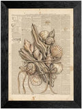 Framed Canvas Wall Art Vintage Seashells and Driftwood Muted Tones on Newspaper Print Canvas Print Poster Black Frame Wall Decor for Living Room Coastal Art, Ocean Decor - 24x36 Inch by Unknown