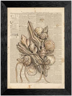 Framed Canvas Wall Art Vintage Seashells and Driftwood Muted Tones on Newspaper Print Canvas Print Poster Black Frame Wall Decor for Living Room Coastal Art, Ocean Decor - 24x36 Inch by Unknown
