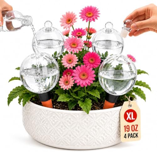 19 oz Large Self Watering Globes for Plants, Top Fill, 4 Pack by Unknown