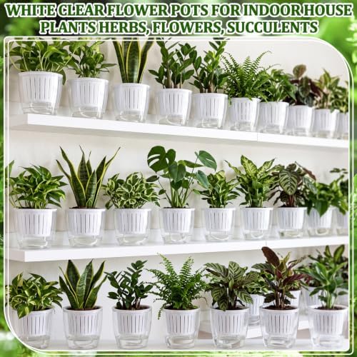 Self Watering Plant Pots, 4.3'', Transparent White, 18 Pcs - Image 6
