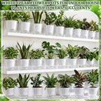 Self Watering Plant Pots, 4.3'', Transparent White, 18 Pcs - Image 6