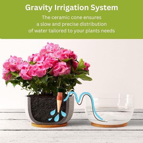 Blumat Classic Self-Watering Stakes - Prevents Overwatering and Underwatering for Healthy Growth While You are Away - Ideal for Indoor Plant Watering (25 Pack w/o Adapter) - Image 5