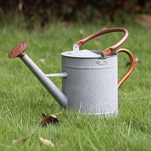 1 Gallon Watering Can, Metal Watering Can with Removable Spout, Farmhouse Galvanzied Water Can, Nice Plant Water Can for Indoor Use and for Outdoor Use by HORTICAN