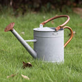 1 Gallon Watering Can, Metal Watering Can with Removable Spout, Farmhouse Galvanzied Water Can, Nice Plant Water Can for Indoor Use and for Outdoor Use by HORTICAN