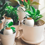Terracotta Watering Spikes, 4 Pack Ollas Self Watering Globes - Image 4