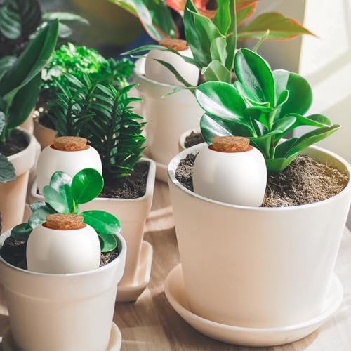 Terracotta Watering Spikes, 4 Pack Ollas Self Watering Globes - Image 4