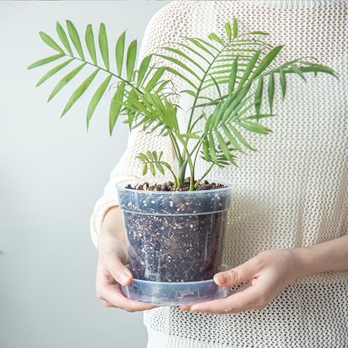 6 Inch Clear Plastic Plant Pot with Drainage Holes, Interlocking & Detachable Tray - Deep Saucer - Durable BPA-Free Plastic, Transparent Design, Raised Base for Airflow, Set of 12, 92-X-B-5 - Image 2