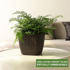 Dexceder 11x10 Self Watering Planter (Brown Rattan) - Image 6