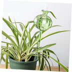BESPORTBLE 4pcs Self Watering Bulbs Clear Glass Plant Watering Globes for Automatic Plant Care Cactus Shaped Easy to Use Decorative - Image 7