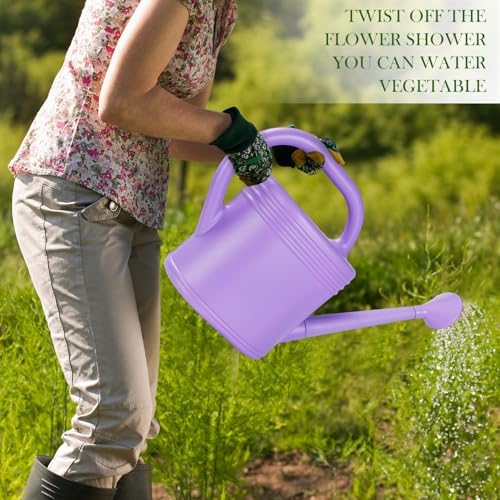 2 Gallon Watering Can for Indoor Plants, Garden Watering Cans for Outdoor Plant House Flower, Modern Plant Watering Can Large Long Spout with Sprinkler Head - Image 4