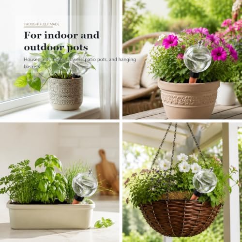 4 Pack Self-Watering Globes - Image 6