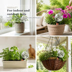 4 Pack Self-Watering Globes - Image 6