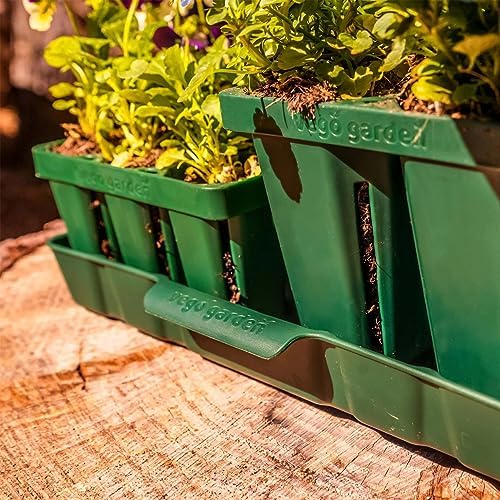 Vego garden Bottom Watering Trays Plant Growing Trays for Seedlings, 10" x 10" Seedling Trays, 4 Pack - Image 2