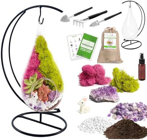 Creations by Nathalie 7" Teardrop DIY Glass Terrarium Kit - Image 2
