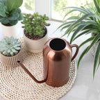 Plant Watering Can, Modern Leak Proof Stainless Steel Indoor Watering Cans for House Plants with Long Spout,Lightweight Small Rustproof Water Can for Plants for Home Outdoor Gardening - Image 7