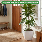 4-Pack Terracotta self-Watering Stakes for Indoor Plants - Image 7
