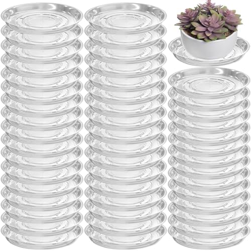 50 Packs 12 Inches Large Clear Plant Saucers for Indoor Outdoor Use Heavy Duty Plastic Plant Trays for Planter Bulk Flower Pot Drip Trays to Catch Water, 4 to 20 Inch by Planterhoma
