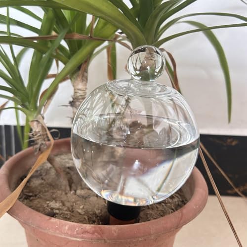 Automatic Plant Watering Globes 500ML Top Fill Drip Irrigation - Image 4