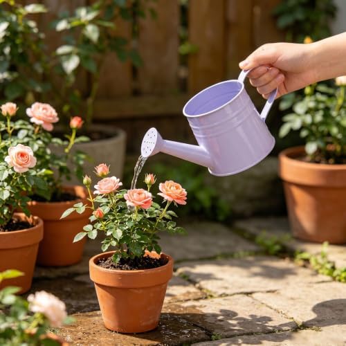 1L Retro Metal Painted Watering Can with Long Spout & Handle - Image 4