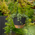 ZMTECH 12 Inch Large Self Watering Hanging Planters for Indoor Outdoor Plants - Water Level Indicator & Removable 60 Oz Reservoir, 1 Pack Plastic Hanging Basket for Window Porch Garden Balcony, Black - Image 2