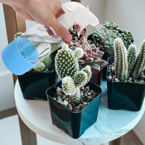 Milisten 2pcs Ml Glass Spray Bottle with Silicone Sleeve for Fine Mist Use - Image 6