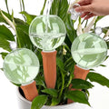 Teenyyou 3 Set 12oz Glass Self Watering Globes with Terracotta Self Watering Spike Large Glass Waterer Bulbs Automatic Water Planter Water Device for Indoor Outdoor (Green,Cactus)(Green,Classic) by Teenyyou