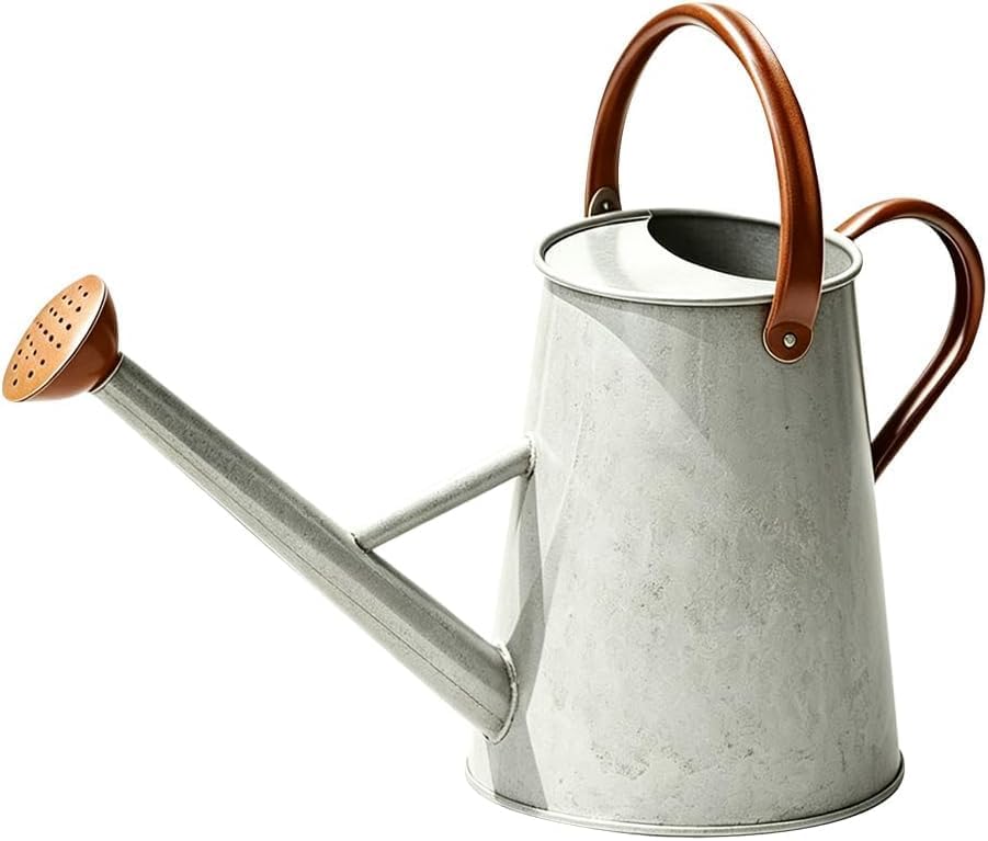 1.5 Gallon Metal Watering Can for Outdoor Plants, Watering Can, Cream Zinc by SunnyTong