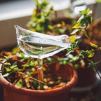 4pcs Bird Shaped Plant Watering Globes, Borosilicate Glass - Image 7