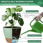 8/10/12 Inch Self Watering Pots for Indoor/Outdoor Plants with Drainage - Image 6