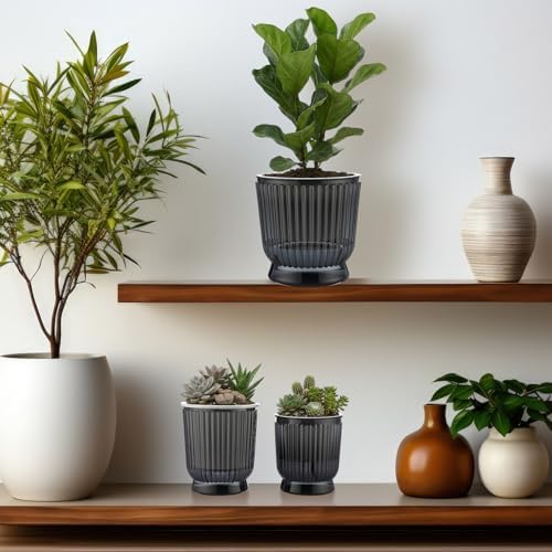 Set of 6 Self Watering Plant Pot 3 Sizes Plastic Double Layer Self Watering Flower Pot with Multi Mesh Drainage Holes Wicking Reservoir for Indoor Outdoor Garden Plants(Black) - Image 6