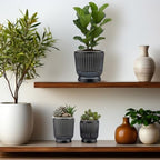 Set of 6 Self Watering Plant Pot 3 Sizes Plastic Double Layer Self Watering Flower Pot with Multi Mesh Drainage Holes Wicking Reservoir for Indoor Outdoor Garden Plants(Black) - Image 6