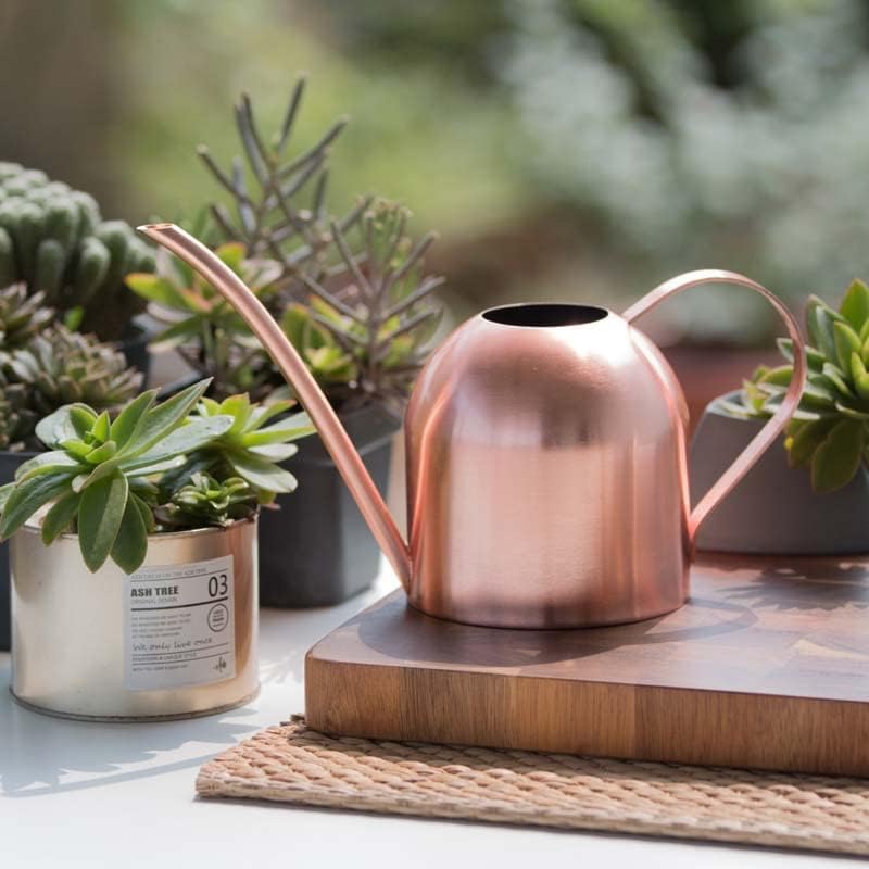 Stainless Steel Watering Kettle Can Long-mouthed Plant Indoor Small Pot Gardening(D) - Image 4