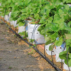Frienda 1640 Feet 1/4 Inch Drip Irrigation Tubing Irrigation Hose Irrigation Drip Line Watering Drip Automatic Irrigation Equipment Set for Garden Irrigation System Flower Patio Lawn - Image 4