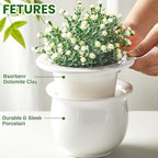 Suclain 2 Pack Ceramic Self Watering Plant Pot African Violet Pots Self Watering Indoor Flower Pot Efficiently Store Water for at Least One Week Modern Decor Gift(White,6.5 Inch) - Image 3