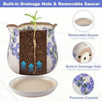 Ceramic-Planters-for-Indoor-Plants with Saucer, 6 inch Vintage Ice Crackle Glaze Plant Pots with Drainage Holes, Decorative Flower Pots for Outdoor Garden Home Decor, Tuscan Pot for Plant - Image 5