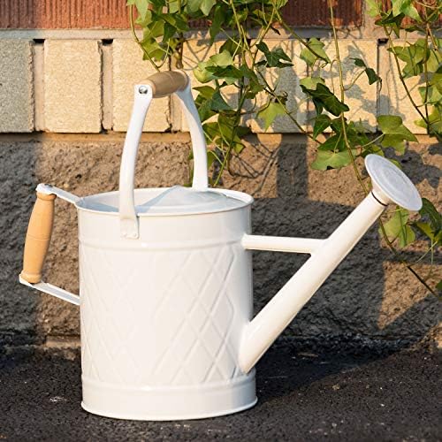 1 Gallon White Metal Watering Can with Wooden Handles - Image 5