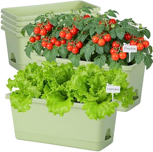 Oliz Window Box Planter 6 Packs, 13.8 Inches Rectangle Flower Pots with Drainage Holes & Trays, Pots for Vegetables, Herbs, Flowers, Garden Windowsill Balcony (Green) by Oliz