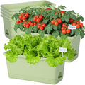 Oliz Window Box Planter 6 Packs, 13.8 Inches Rectangle Flower Pots with Drainage Holes & Trays, Pots for Vegetables, Herbs, Flowers, Garden Windowsill Balcony (Green) by Oliz