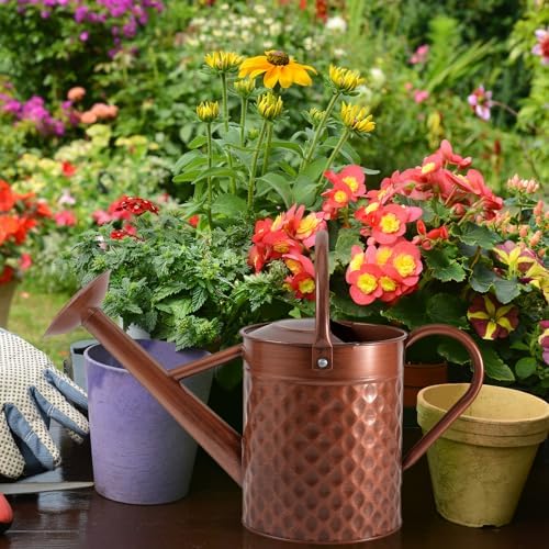 1 Gallon Metal Watering Can for Outdoor Indoor Plants, Copper Colored Watering Can with Removable Spray Spout, Ideal for Garden Watering - Image 5