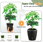 Self-Watering Pots for Indoor Plants, 16-Pack Self Watering Planter with Drainage Holes, Small African Violet Pots with Water Indicator, 10-Pack 5''/6-Pack 6.7'' Orchid Pot, Black - Image 6