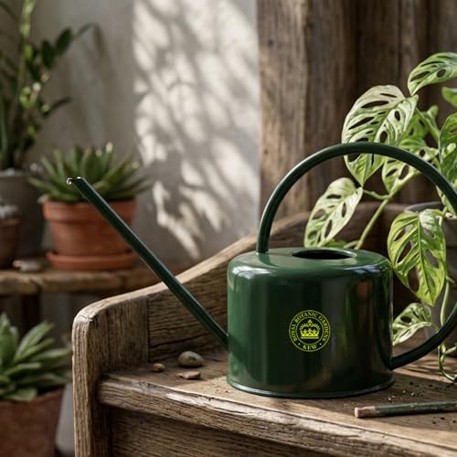 Spear & Jackson Kew Gardens Urban Oasis Collection 1LWCKEWG 1 Litre Compact Watering Can - 1L - Racing Green - Image 4