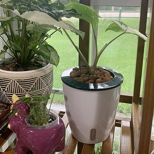 5 Pack 7 Inch Self Watering Plant Pots, White Plastic Self Watering Flower Pots with Visual Water Level Window, Self Watering Planter for Indoor Plants, Herb, African Violet, Succulent - Image 7